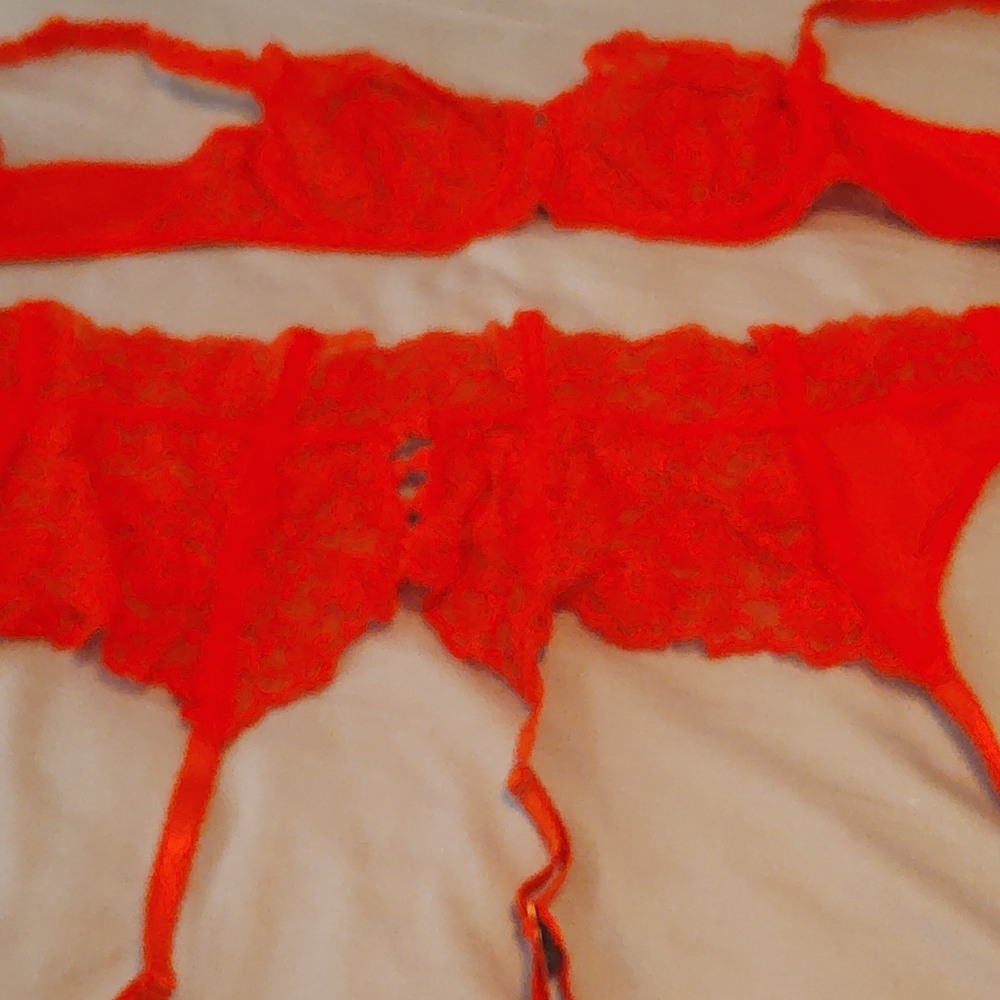 Bra and garter belt